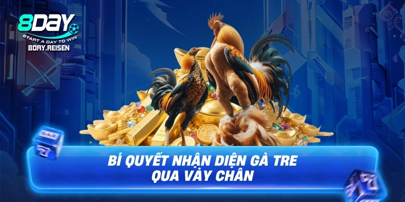 Đá Gà Tre - Bí Kíp Xem Và Chọn Kê Đỉnh Cao 2 Bí quyết nhận diện gà tre qua vảy chân